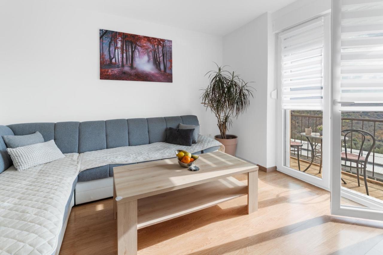 Mdm Apartment Buje